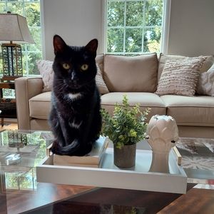 Come visit my closet! ❤️ Krista